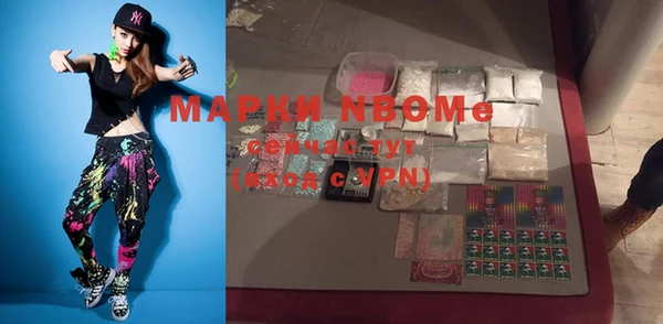 индика Бугульма