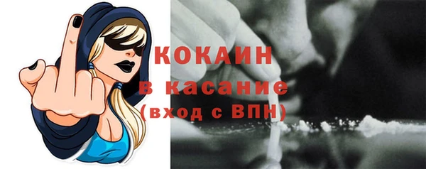индика Бугульма