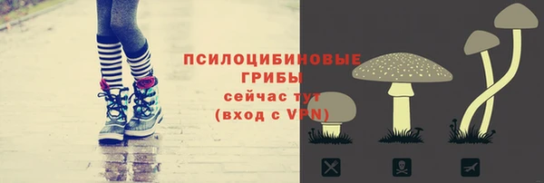 скорость Бородино