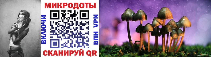 продажа наркотиков Пересвет Галлюциногенные грибы Magic Shrooms