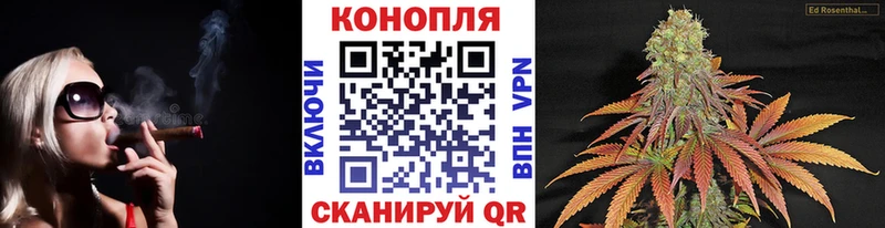 МАРИХУАНА сатива  Пересвет 